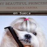 My Beautifull Princess la mejor peluquería canina en Sueca